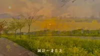 江苏省泰兴市黄桥镇小南湖欢迎您来游玩