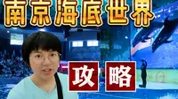 南京海底世界攻略 南京海洋馆