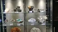 山西地质博物馆补充导览别记