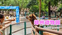 郑州动物园 看动物
