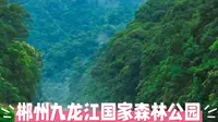 探秘郴州九龙江国家森林公园：瑶乡仙境，山水奇境