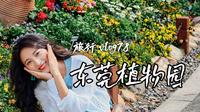 旅行vlog78|深圳1.5h！东莞植物园太惊喜了！好多植物和花花！