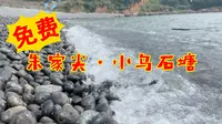 免费的小乌石塘/鹅软石/捉石蟹/打水飘/钓鱼都是很不错的选择，坐着听听海浪拍打石头的声音也别有滋味……