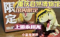 小盗龙测评：重庆自然博物馆限定-上游永川龙