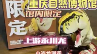 小盗龙测评：重庆自然博物馆限定-上游永川龙
