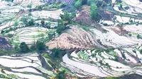 云南元阳哈尼梯田·老虎嘴