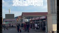 东北参茸城，真实人参市场赶集卖货