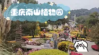重庆南山植物园｜菊花展