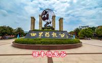 云南楚雄，禄丰恐龙谷