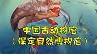 亚洲最大的自然博物馆——中国古动物馆（保定自然博物馆）