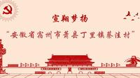 2022年暑期三下乡第十三站——安徽省宿州市萧县丁里镇蔡洼村