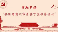 2022年暑期三下乡第十三站——安徽省宿州市萧县丁里镇蔡洼村