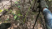 龙虎山九曲洲环穿2