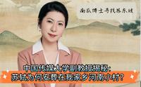 大文豪苏轼为何安葬在河南郏县小村？郏县人、中国传媒大学副教授刘楠前来揭秘！