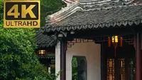 夏季阴雨天的中式庭院 | 金陵第一园 |瞻园