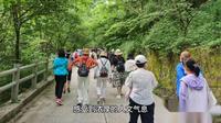岐山森林公园是国家 3A旅游景区位于（衡南 )县境内。