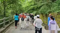 岐山森林公园是国家 3A旅游景区位于（衡南 )县境内。