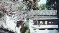 38妇女节逛红巷-杭州小营巷