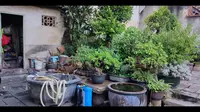 泉州西街古榕巷清朝翰林，和林则徐同榜题名，林则徐的好朋友许邦光故居。林则徐每次路过泉州都会登门拜访许邦光！