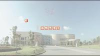 扬州博物馆2024年新春特展汇总
