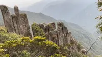 去了武功山旁边的羊狮幕景区，这个栈道真的是太惊险了，一路的胆战心惊！当然也看到了绝美的风景，大山深处的美景太赞了！