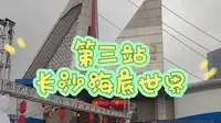 真实的珊瑚礁？刻板的北极狼？第三站，长沙海底世界