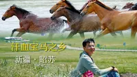 好看等于好玩？昭苏天马浴河，不如沿途彩虹【4K】