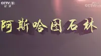 【央视】纪录频道CCTV-9《阿斯哈图石林》