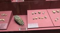 广东省博物馆历史展厅参观讲解