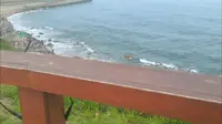 青岛夏天燕儿岛公园
