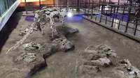 河南洛阳汝阳恐龙地质公园，一个带孩儿的好去处。