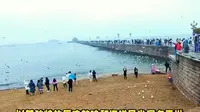 青岛栈桥漫步：深度游攻略与费用指南