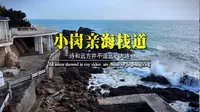 大连小岗亲海栈道赶海打卡游玩攻略