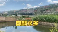 曲靖麒麟水乡
