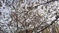 【城市漫步】汉川公园风景