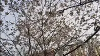 【城市漫步】汉川公园风景