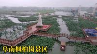 航拍地城枫柏岗景区，万亩荷花池，阜南网红打卡地