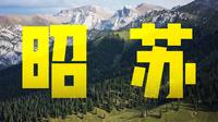 【4K】雪山为幕 花海作毯 在伊犁秘境邂逅盛夏新疆 | 昭苏旅行全纪录 哈苏907X & CFV 100C