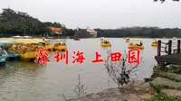 深圳海上田园，门票55元，玩项目另收费，感觉被坑了！