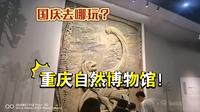 【在路上】国庆去哪玩？重庆自然博物馆正合适！