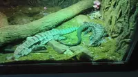 柳州动物园一日游