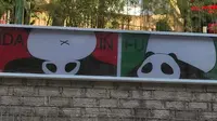 福州熊猫世界买票挺难的#福州#福州同城#福州熊猫世界