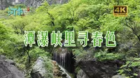 16-潭瀑峡里寻春色｜四月云台山踏青，三步一泉五步一瀑的峡谷秘境