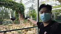 打卡寿光市蔬菜高科技示范园，听闻蔬菜种植是非常出名