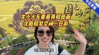 坐小火车看最美稻田画 沈阳稻梦空间一日游