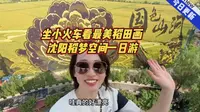 坐小火车看最美稻田画 沈阳稻梦空间一日游