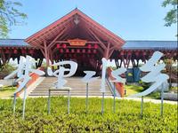 佛山南海里水，梦里水乡，夏塘江边一隅。