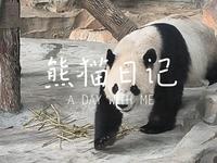 乌鲁木齐水上乐园熊猫馆怎么玩？快来围观拾光小潘的vlog，带你看萌萌宝元和德瑞在新疆的滋润快乐生活~