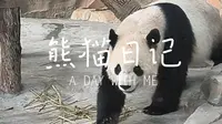 乌鲁木齐水上乐园熊猫馆怎么玩？快来围观拾光小潘的vlog，带你看萌萌宝元和德瑞在新疆的滋润快乐生活~