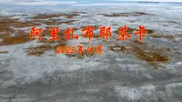 扎布耶茶卡